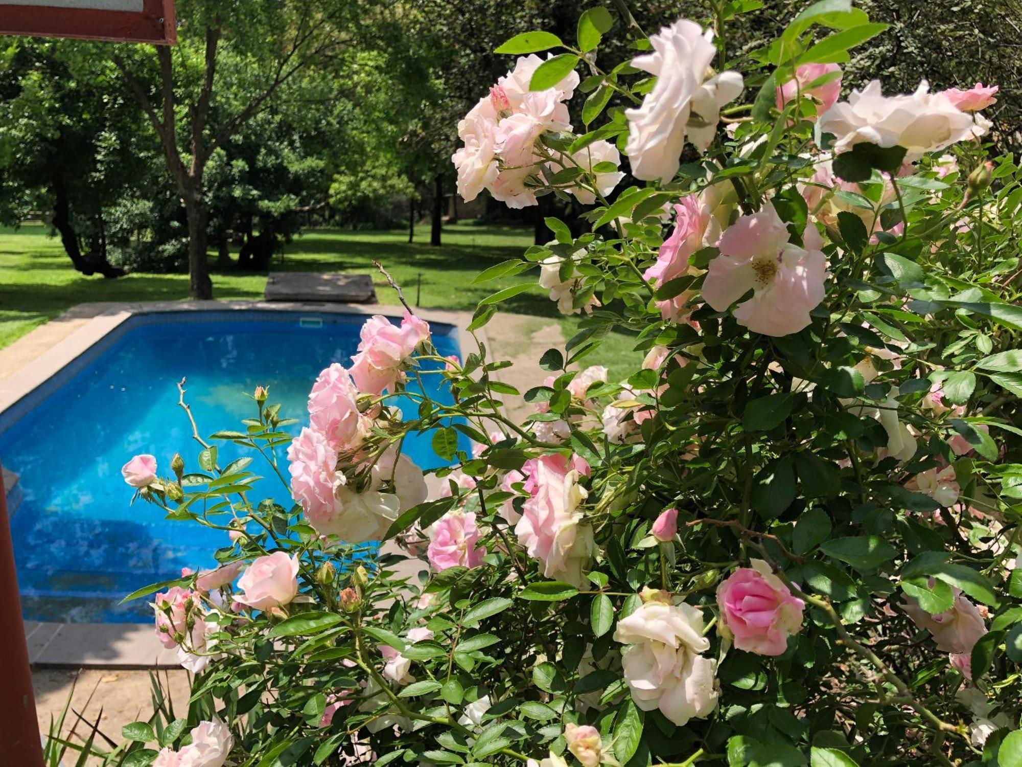 לנסריה Hills And Dales Accommodation מראה חיצוני תמונה