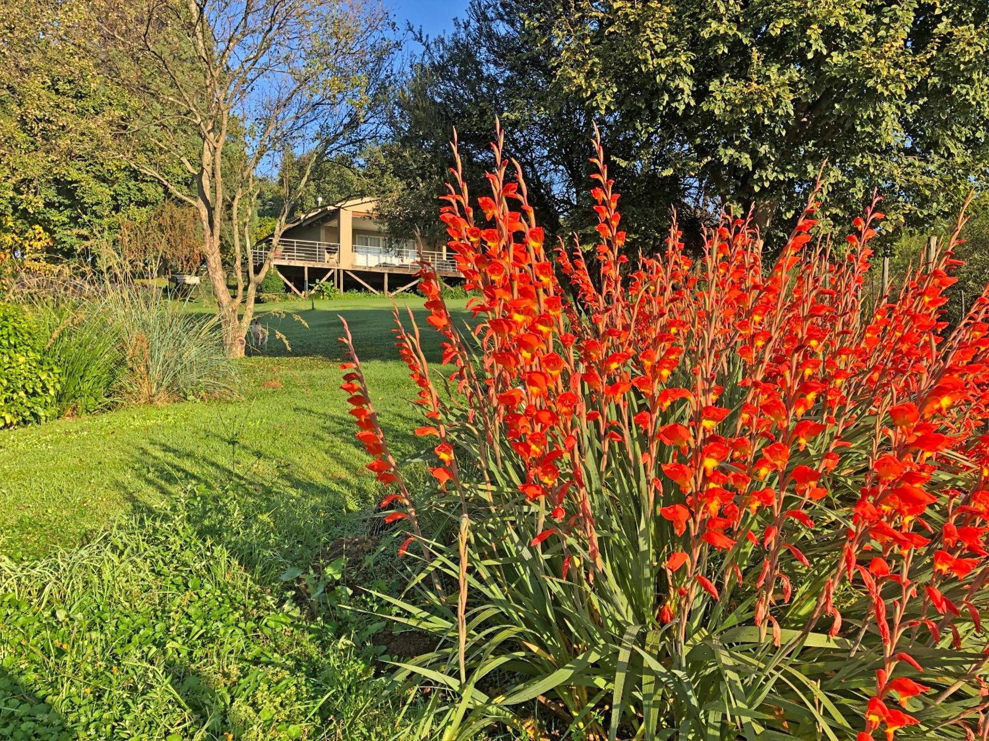 לנסריה Hills And Dales Accommodation מראה חיצוני תמונה